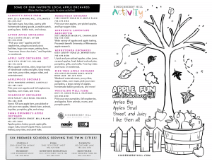 more fun family activities kinderberry hill fall activity sheets