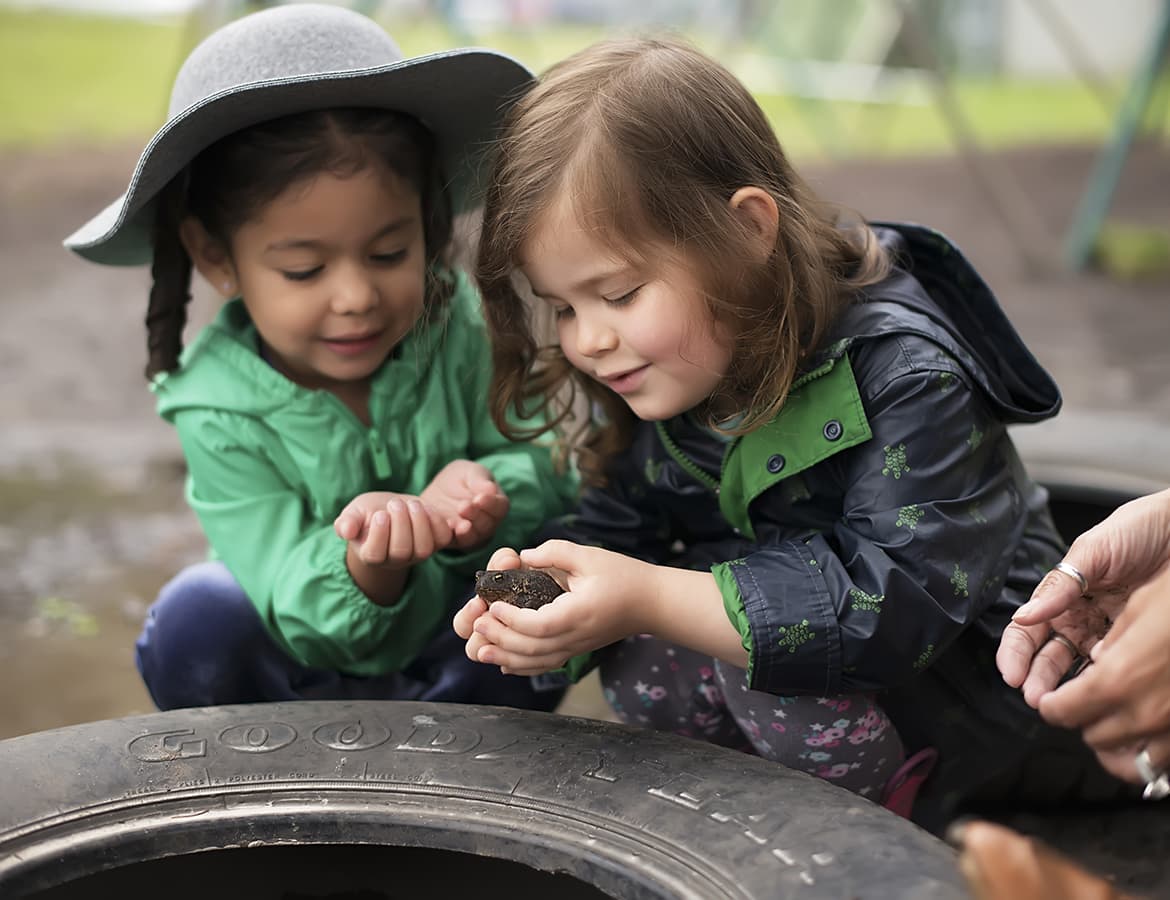 Toddlers playing with a frog