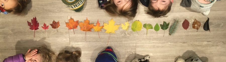 Fall Fun